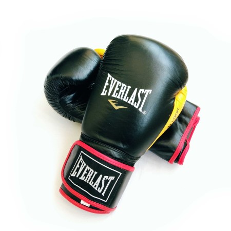 دستکش بوکس چرم EVERLAST اورجینال